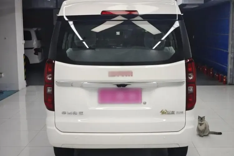 2024 JinBei Golden Sea Lion 5MT,autocango,china used car exporter,china ev exporter,chinese used car exporter,chinese used ev exporter