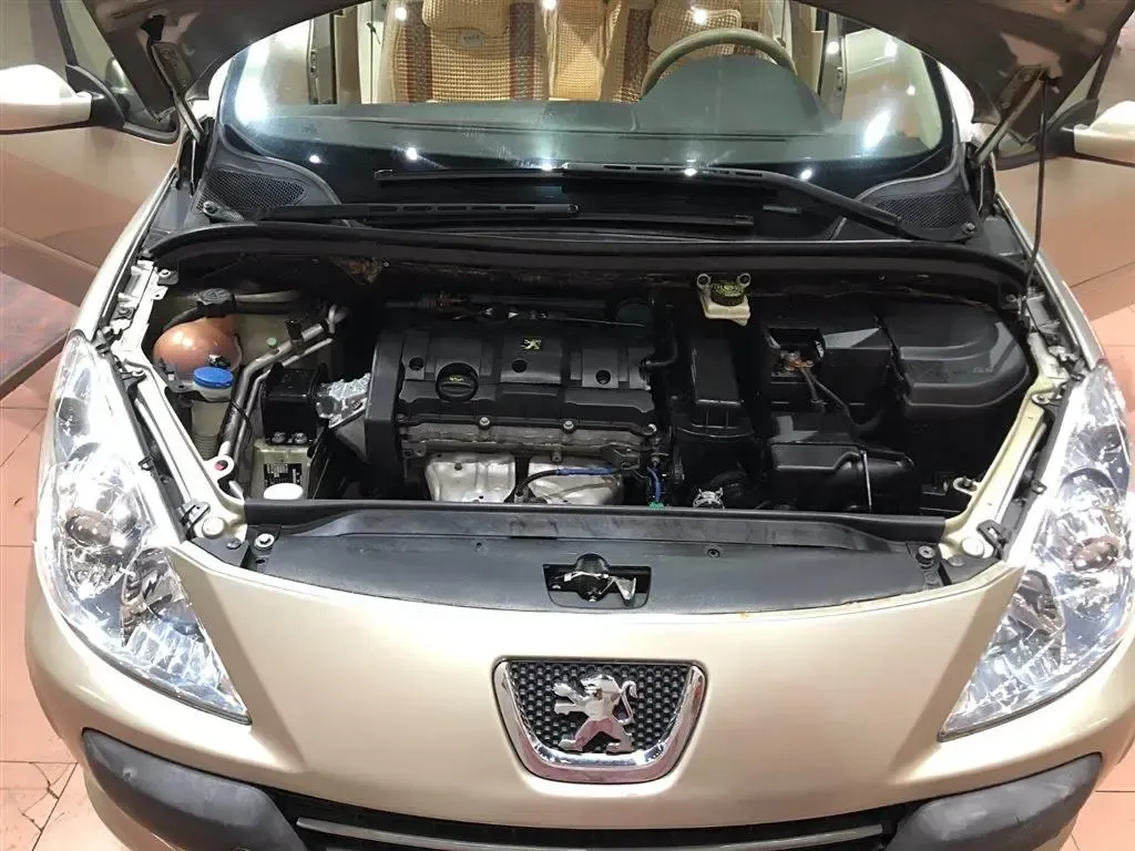 2007 Peugeot 307 1.6L 106HP L4 4AT,autocango,china used car exporter,china ev exporter,chinese used car exporter,chinese used ev exporter