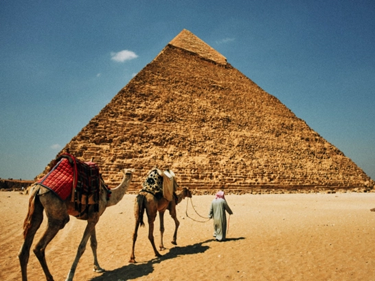 The 2025 Guide to Import Used Cars from China to Egypt 