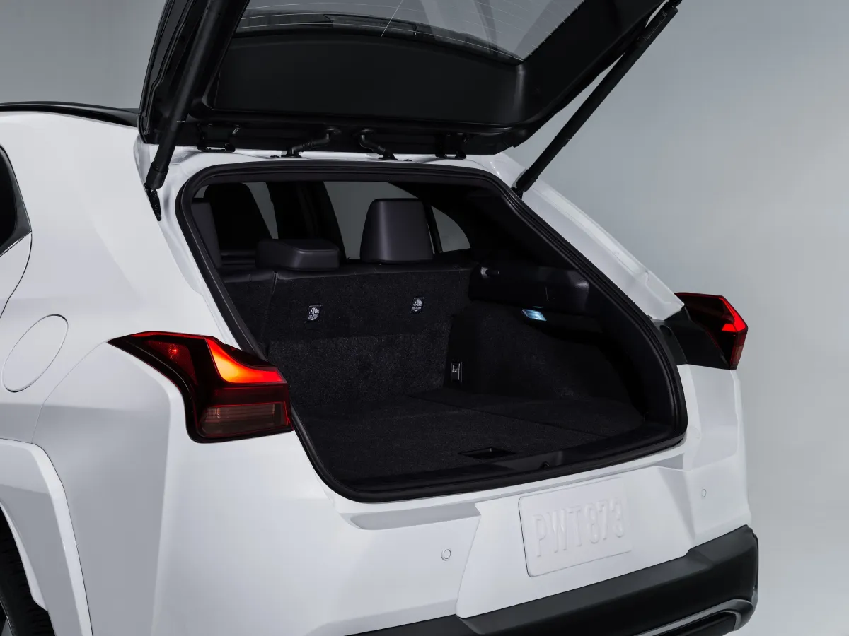 Lexus UX,autocango,china used car exporter,china ev exporter,chinese used car exporter,chinese used ev exporter