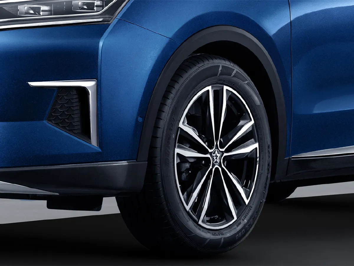 2020 Venucia Star 1.5T 190HP L4 6MT,autocango,china used car exporter,china ev exporter,chinese used car exporter,chinese used ev exporter