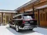HongQi Guoyao HongQi Guoyao