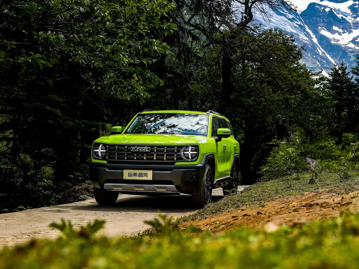 Haval X Dog,autocango,china used car exporter,china ev exporter,chinese used car exporter,chinese used ev exporter