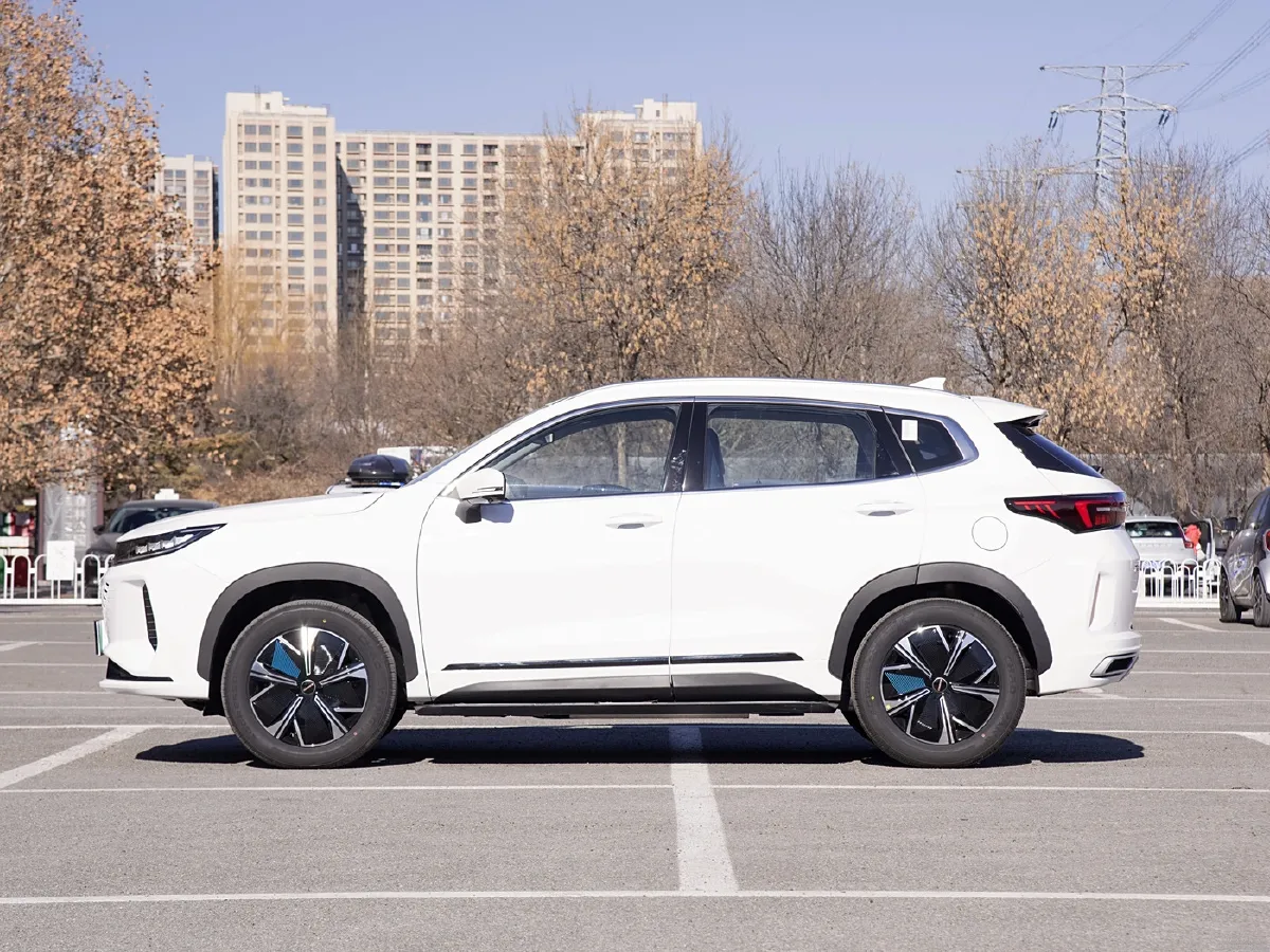 Exceed LXC-DM,autocango,china used car exporter,china ev exporter,chinese used car exporter,chinese used ev exporter