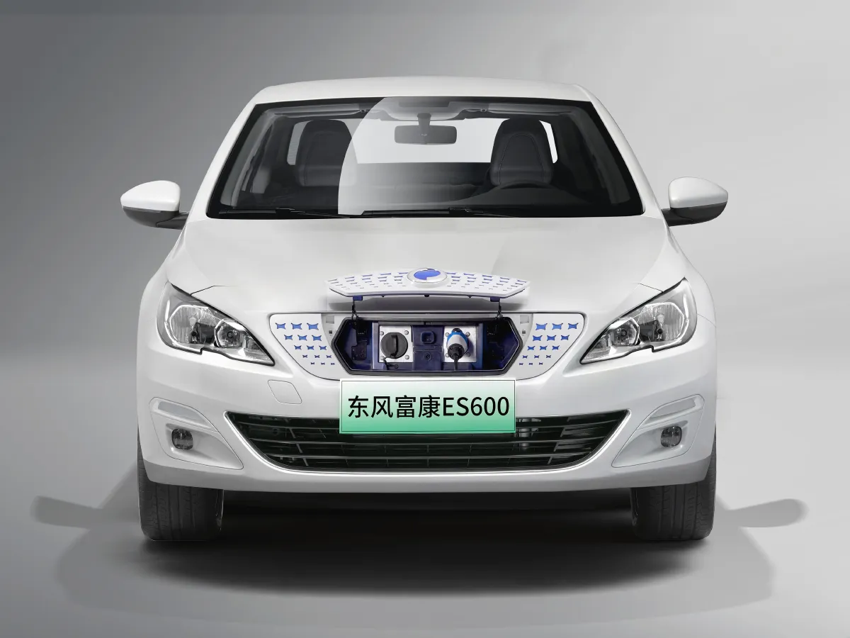 2022 DongFeng FuKang ES600 BEV 53.59KWH,autocango,china used car exporter,china ev exporter,chinese used car exporter,chinese used ev exporter
