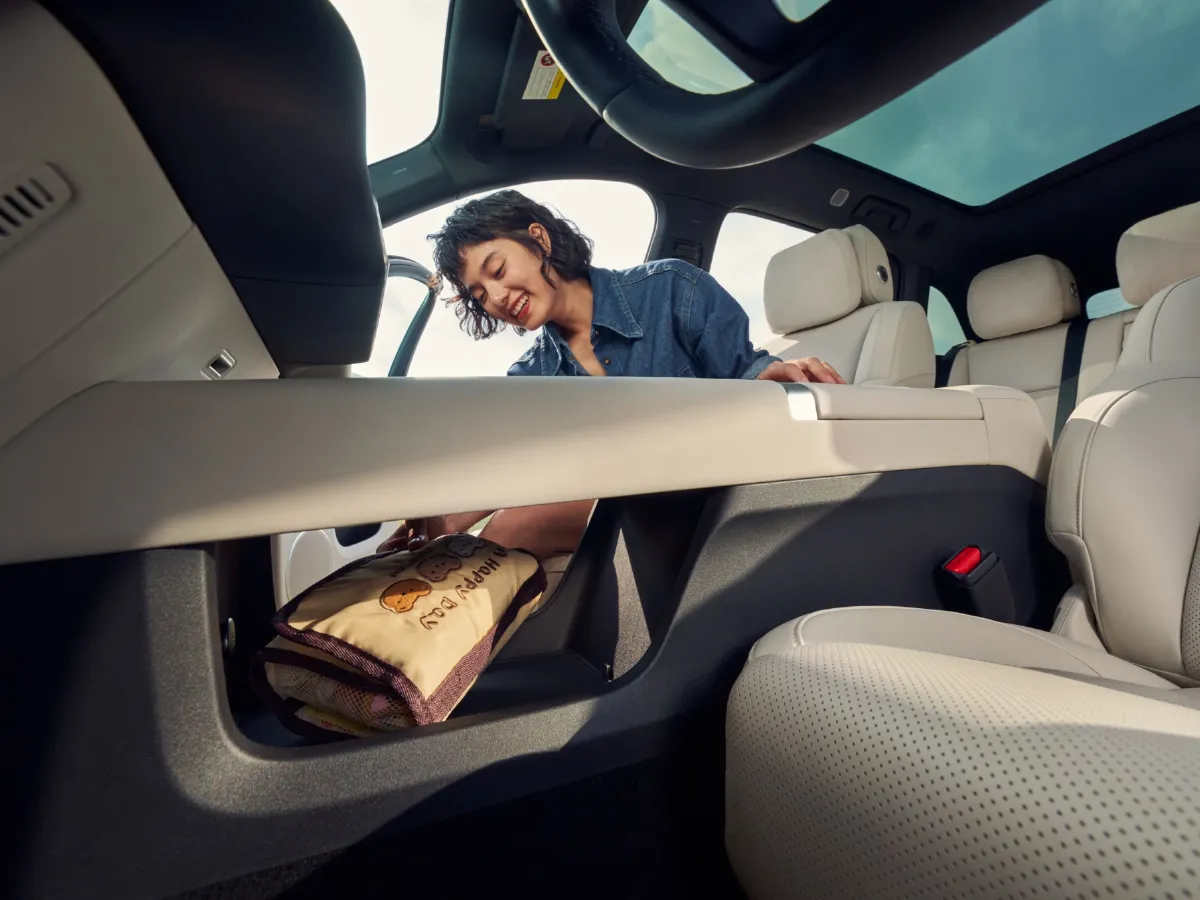 Li L6,autocango,china used car exporter,china ev exporter,chinese used car exporter,chinese used ev exporter