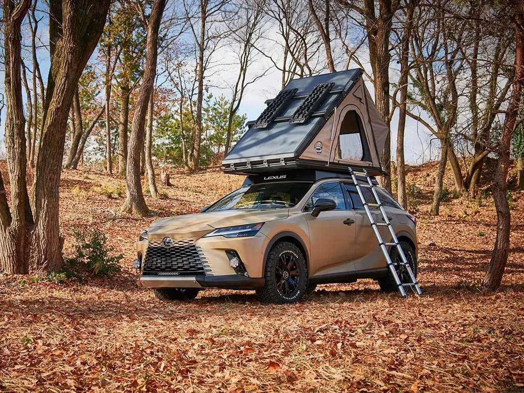 Lexus RX,autocango,china used car exporter,china ev exporter,chinese used car exporter,chinese used ev exporter