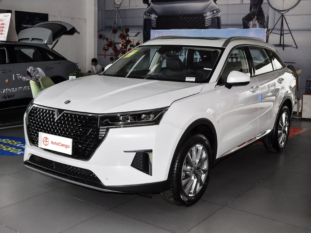2020 Venucia Star 1.5T 190HP L4 6MT,autocango,china used car exporter,china ev exporter,chinese used car exporter,chinese used ev exporter