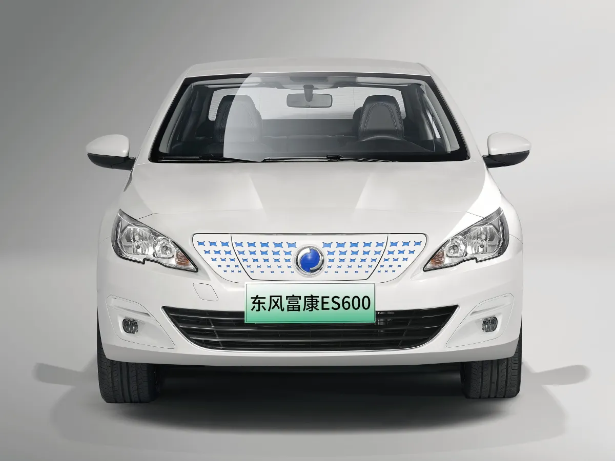 2022 DongFeng FuKang ES600 BEV 53.59KWH,autocango,china used car exporter,china ev exporter,chinese used car exporter,chinese used ev exporter