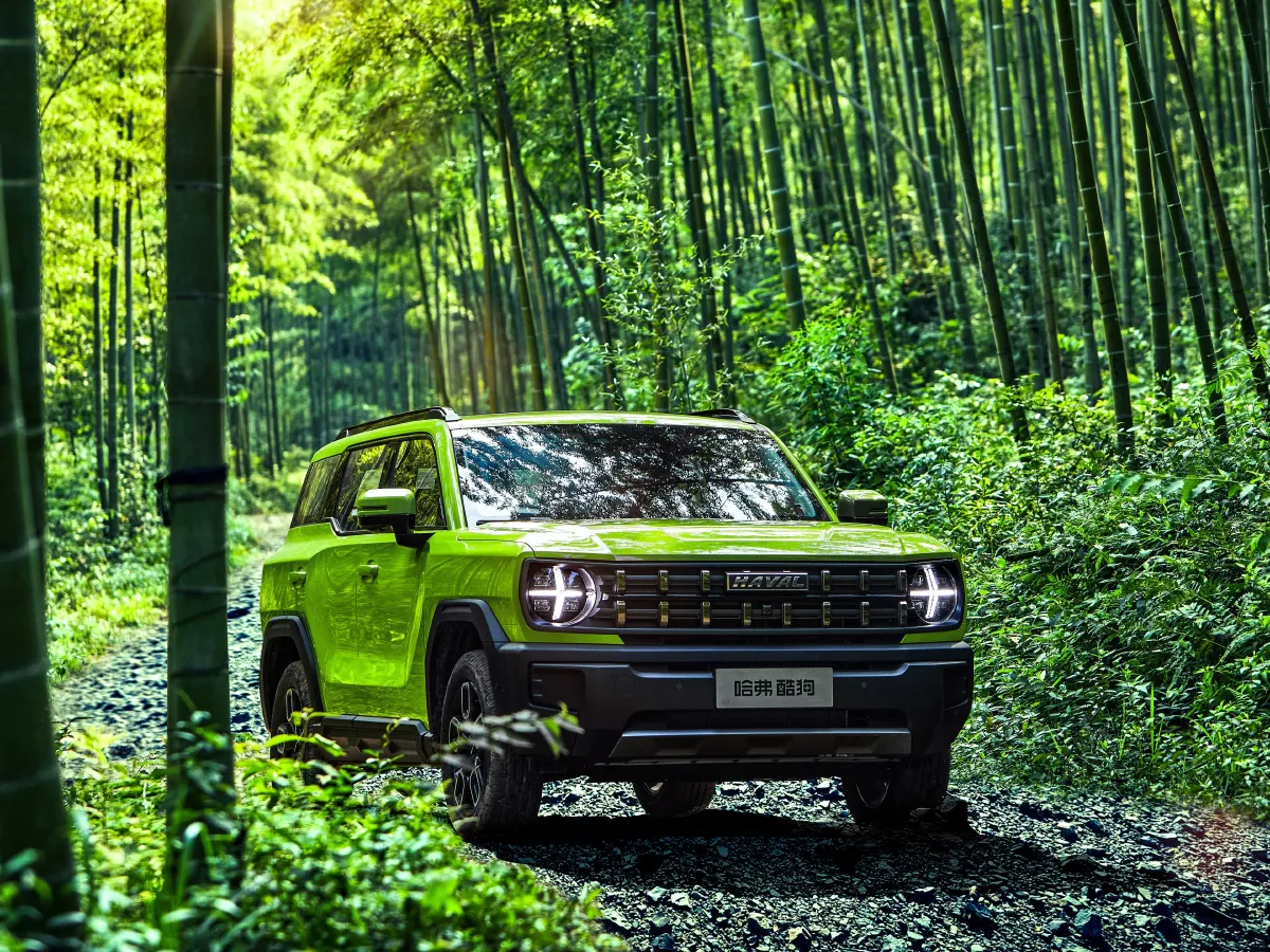 Haval X Dog,autocango,china used car exporter,china ev exporter,chinese used car exporter,chinese used ev exporter