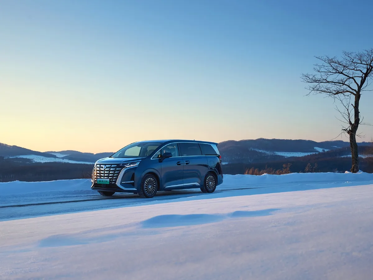 Denza D9,autocango,china used car exporter,china ev exporter,chinese used car exporter,chinese used ev exporter