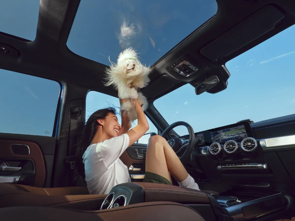 Mercedes-Benz GLB Class,autocango,china used car exporter,china ev exporter,chinese used car exporter,chinese used ev exporter