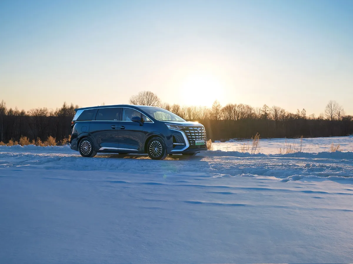 Denza D9,autocango,china used car exporter,china ev exporter,chinese used car exporter,chinese used ev exporter