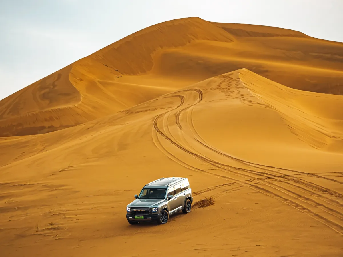 Haval Raptor,autocango,china used car exporter,china ev exporter,chinese used car exporter,chinese used ev exporter