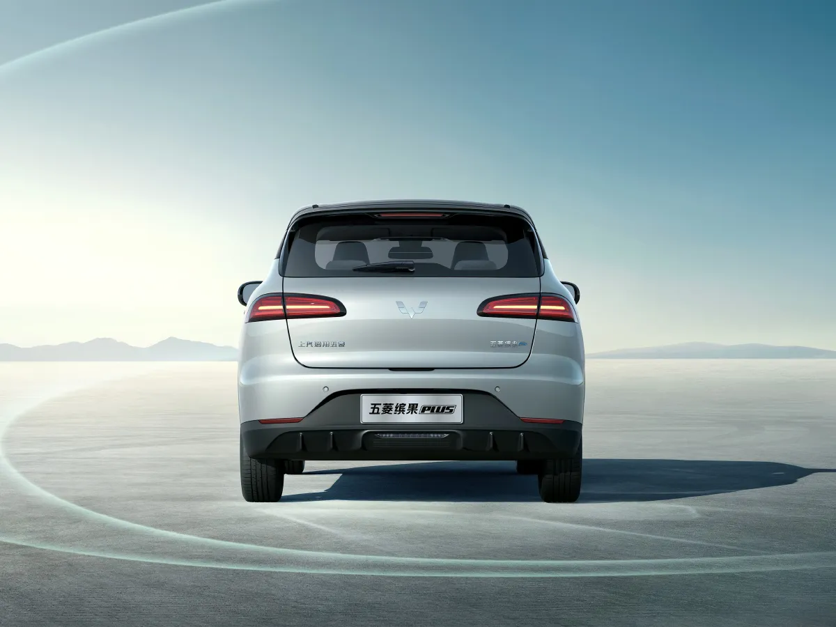 WuLing BinGuoPLUS,autocango,china used car exporter,china ev exporter,chinese used car exporter,chinese used ev exporter