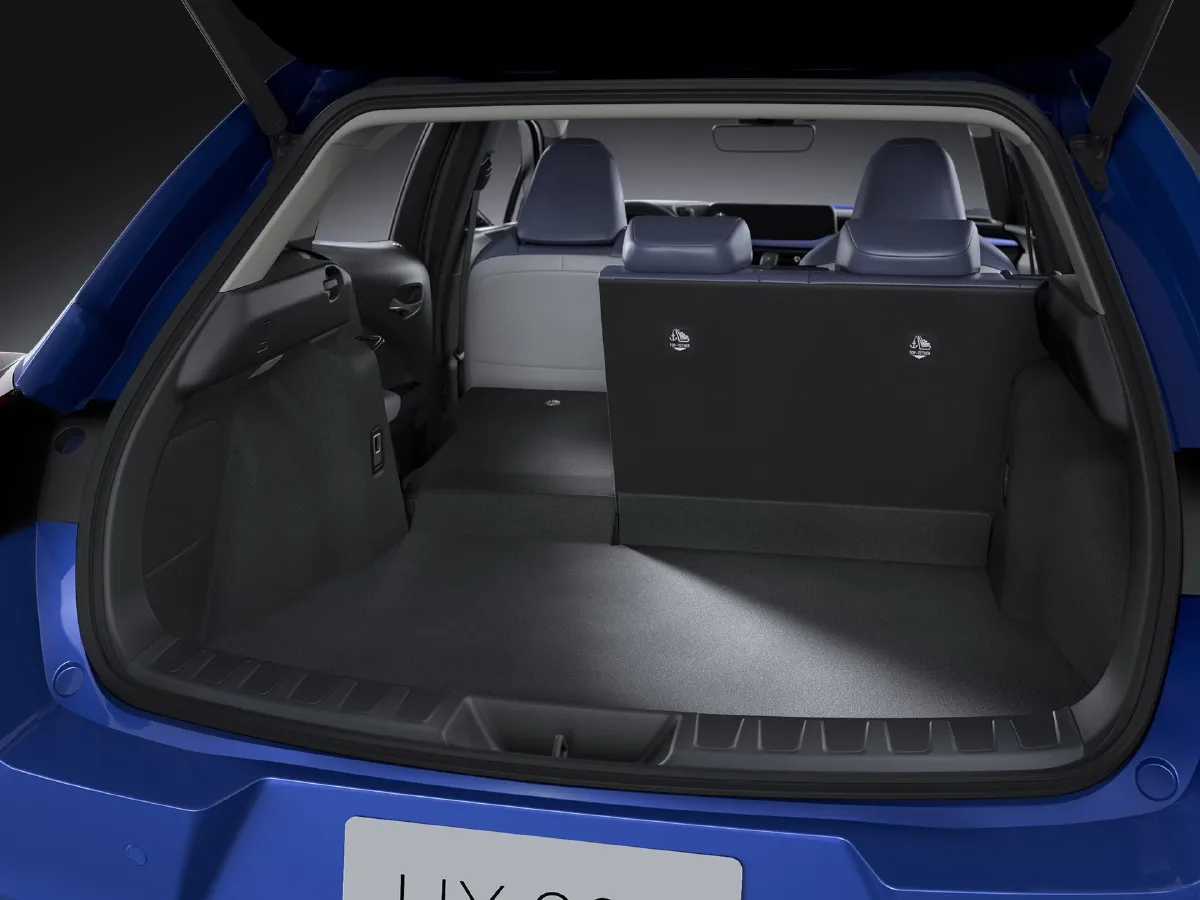 Lexus UX,autocango,china used car exporter,china ev exporter,chinese used car exporter,chinese used ev exporter