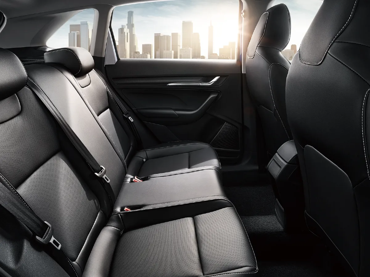 Skoda Kamiq,autocango,china used car exporter,china ev exporter,chinese used car exporter,chinese used ev exporter