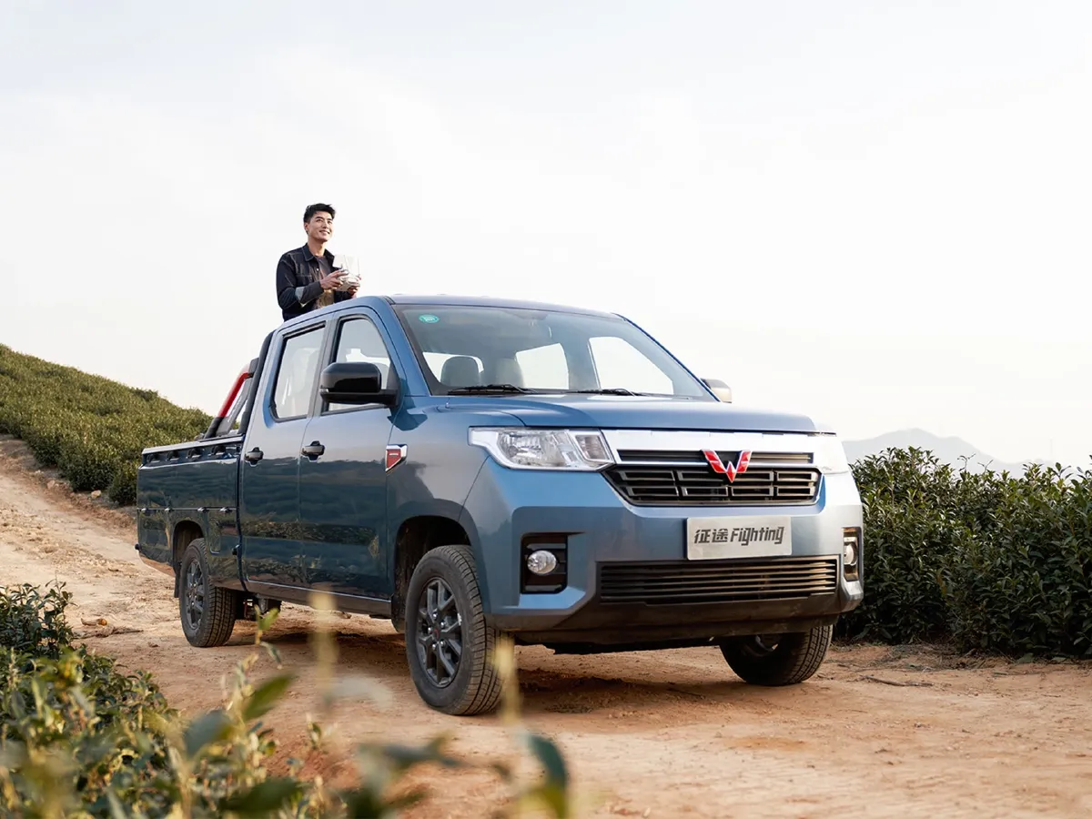 WuLing ZhentTu,autocango,china used car exporter,china ev exporter,chinese used car exporter,chinese used ev exporter