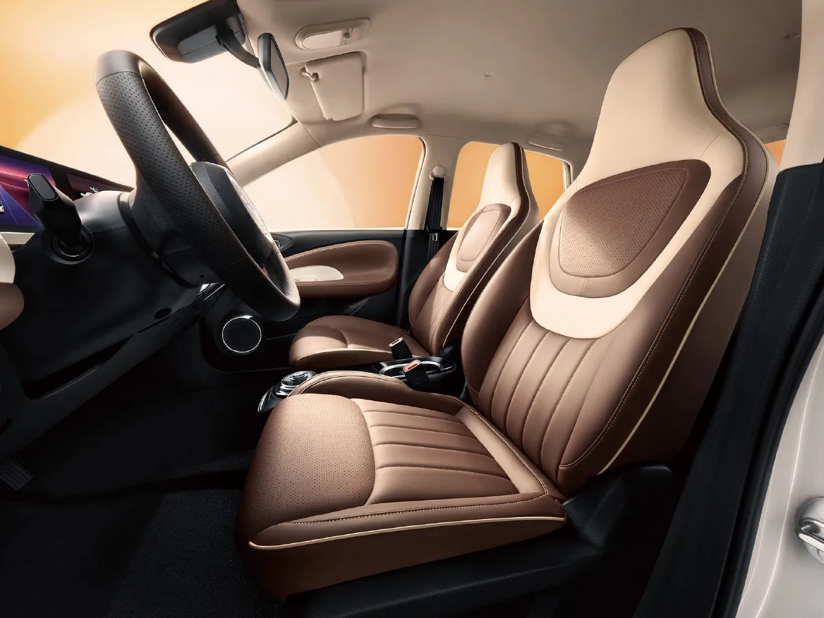 2025 WuLing BinGuo BEV,autocango,china used car exporter,china ev exporter,chinese used car exporter,chinese used ev exporter