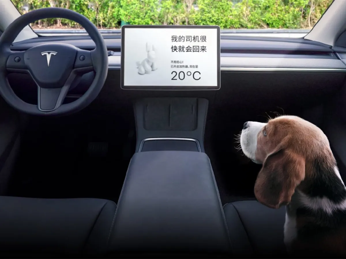 Tesla Model Y,autocango,china used car exporter,china ev exporter,chinese used car exporter,chinese used ev exporter