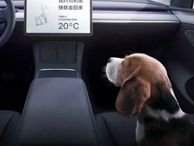 Tesla Model Y,autocango,china used car exporter,china ev exporter,chinese used car exporter,chinese used ev exporter