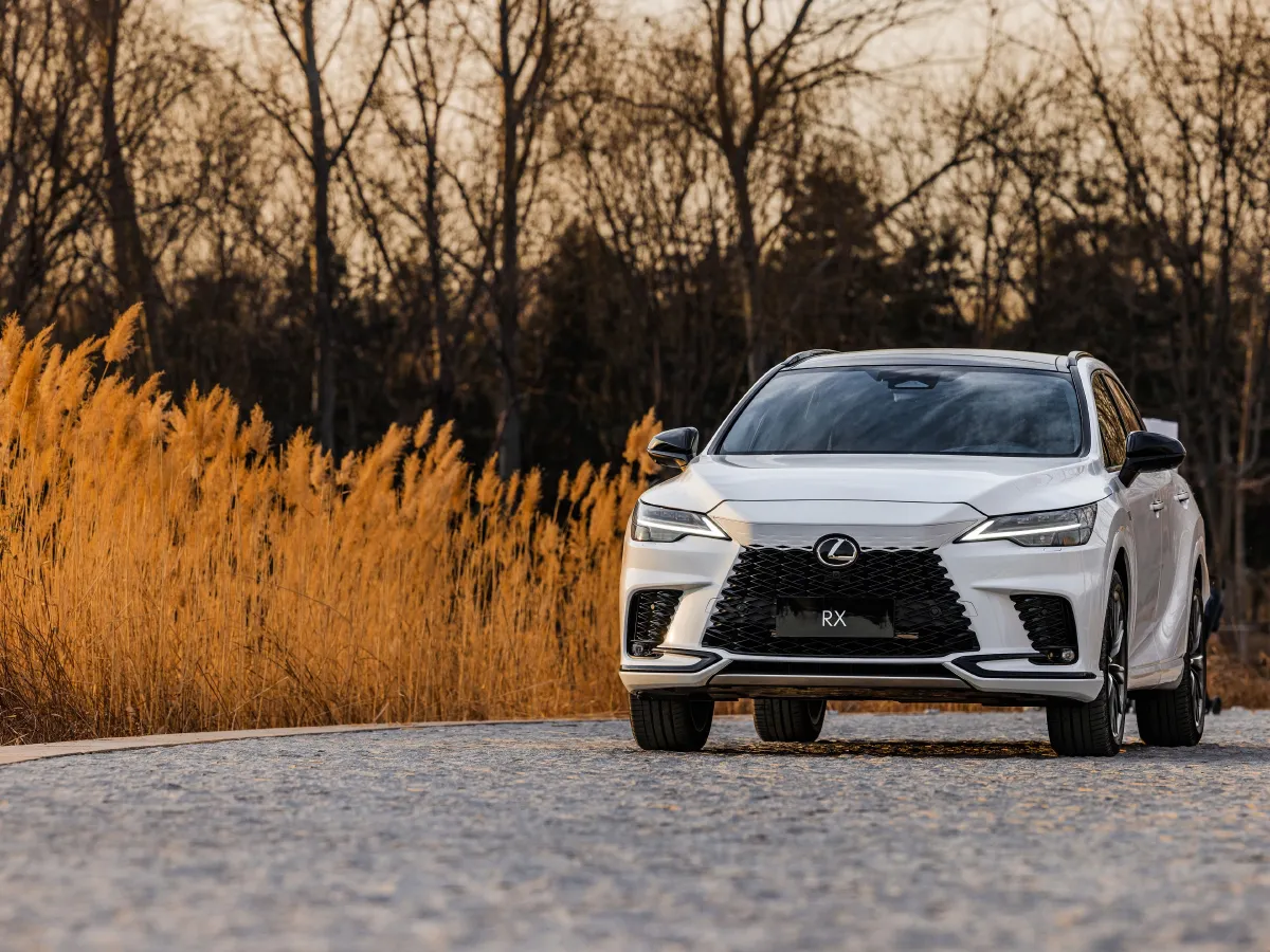 Lexus RX,autocango,china used car exporter,china ev exporter,chinese used car exporter,chinese used ev exporter