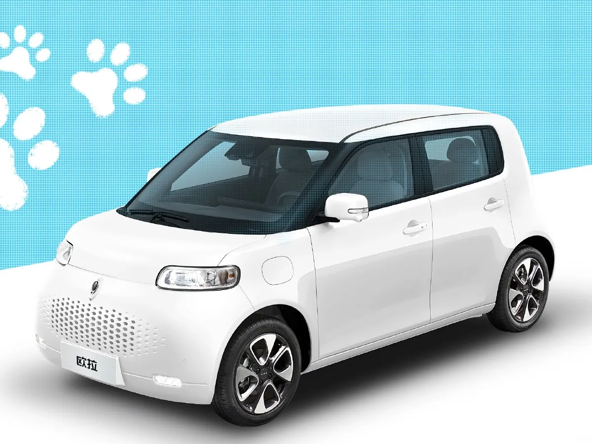Ora WhiteCat,autocango,china used car exporter,china ev exporter,chinese used car exporter,chinese used ev exporter