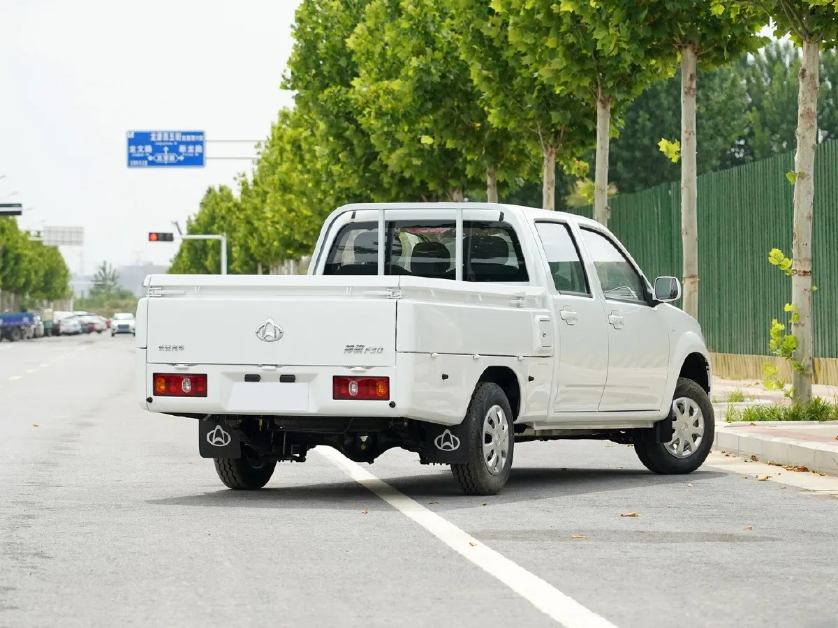 2019 ChangAn Kaicene ShenQi F30 1.5L 116HP L4 5MT,autocango,china used car exporter,china ev exporter,chinese used car exporter,chinese used ev exporter