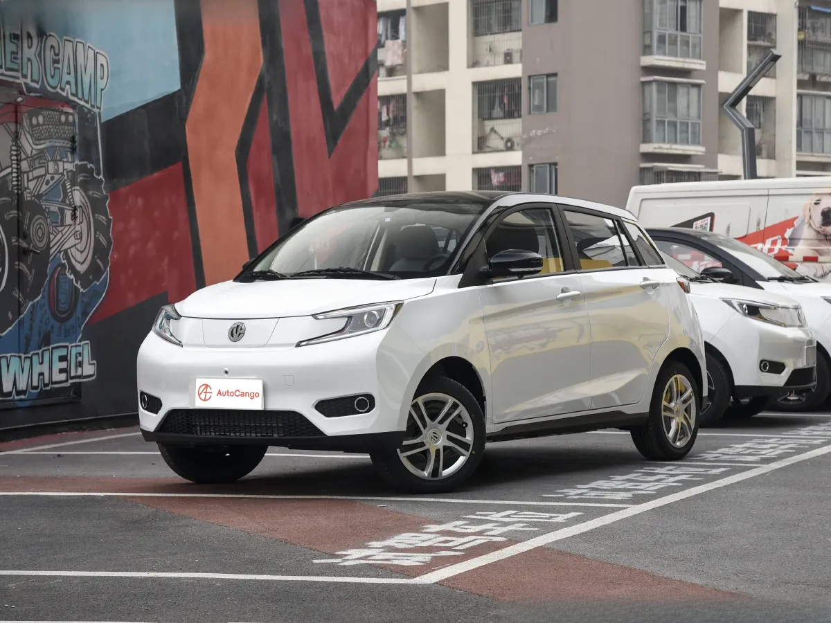 EV House YOUNG,autocango,china used car exporter,china ev exporter,chinese used car exporter,chinese used ev exporter