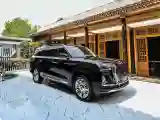 HongQi Guoyao HongQi Guoyao