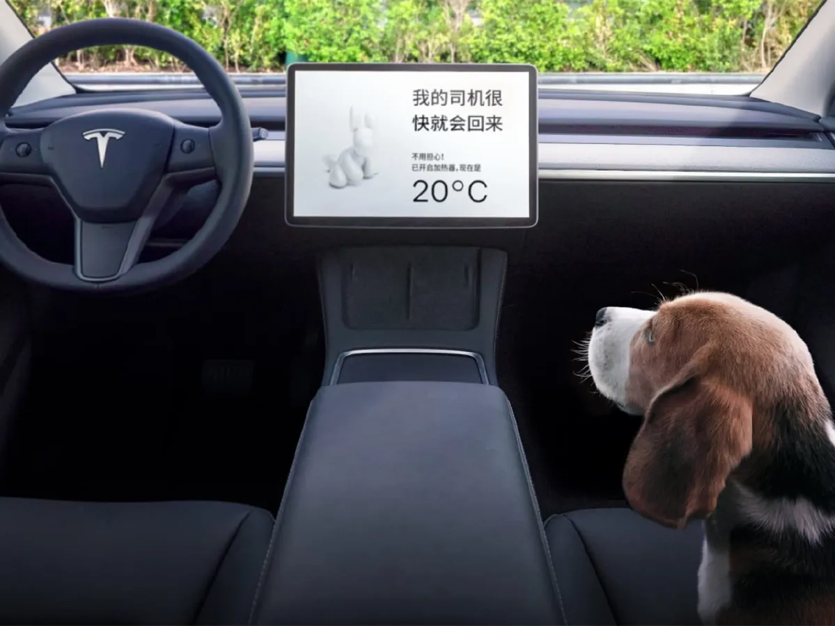 Tesla Model Y,autocango,china used car exporter,china ev exporter,chinese used car exporter,chinese used ev exporter