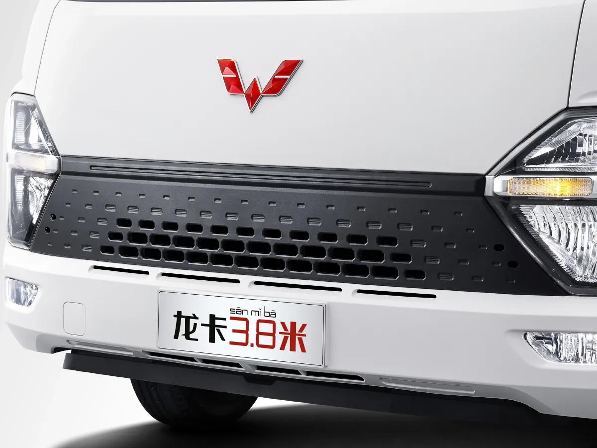 WuLing Loong Truck,autocango,china used car exporter,china ev exporter,chinese used car exporter,chinese used ev exporter