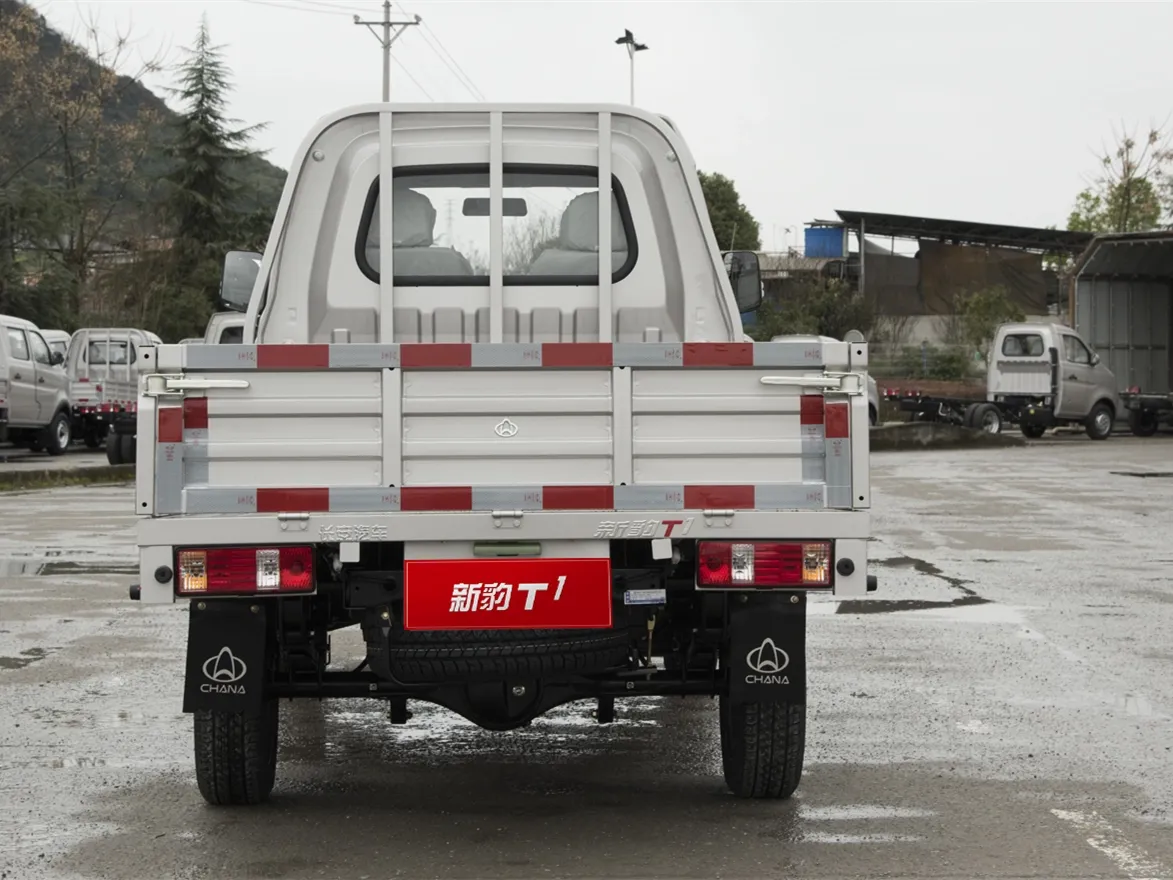 2021 ChangAn KuaYue New Leopard T1 1.3L 91HP L4 5MT,autocango,china used car exporter,china ev exporter,chinese used car exporter,chinese used ev exporter