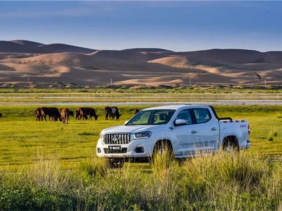 MAXUS T60,autocango,china used car exporter,china ev exporter,chinese used car exporter,chinese used ev exporter