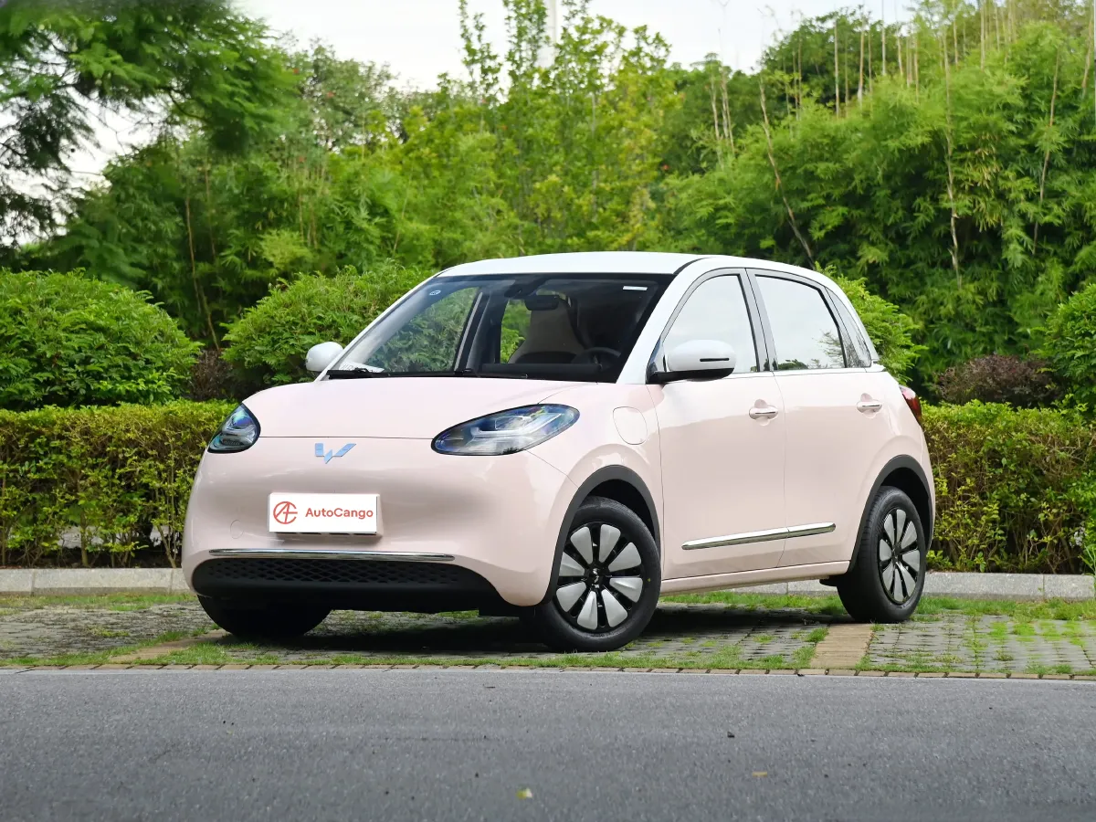 2025 WuLing BinGuo BEV,autocango,china used car exporter,china ev exporter,chinese used car exporter,chinese used ev exporter