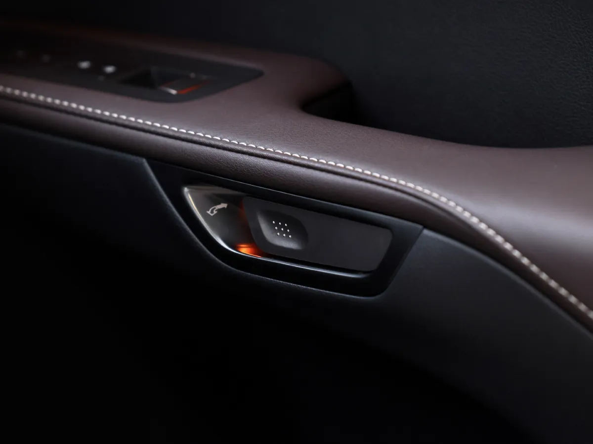 Lexus RX,autocango,china used car exporter,china ev exporter,chinese used car exporter,chinese used ev exporter Lexus RX,autocango,china used car exporter,china ev exporter,chinese used car exporter,chinese used ev exporter