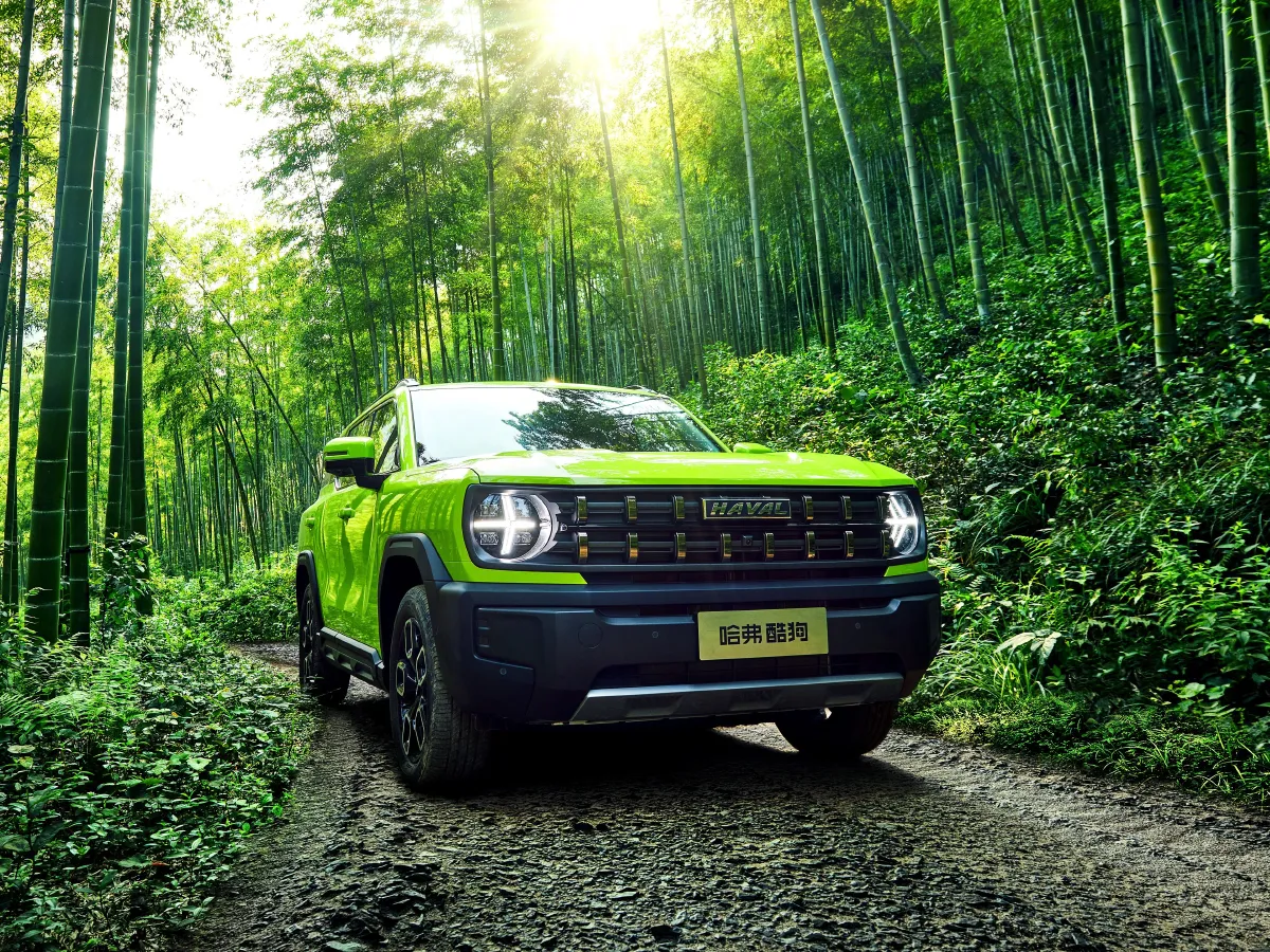 Haval X Dog,autocango,china used car exporter,china ev exporter,chinese used car exporter,chinese used ev exporter