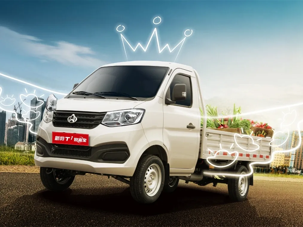 2021 ChangAn KuaYue New Leopard T1 1.3L 91HP L4 5MT,autocango,china used car exporter,china ev exporter,chinese used car exporter,chinese used ev exporter