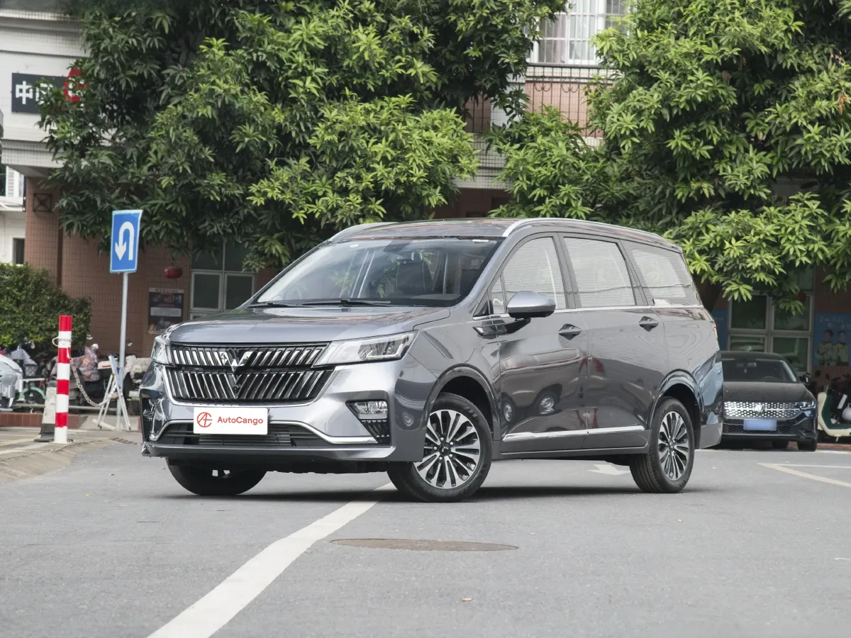 WuLing JiaChen,autocango,china used car exporter,china ev exporter,chinese used car exporter,chinese used ev exporter
