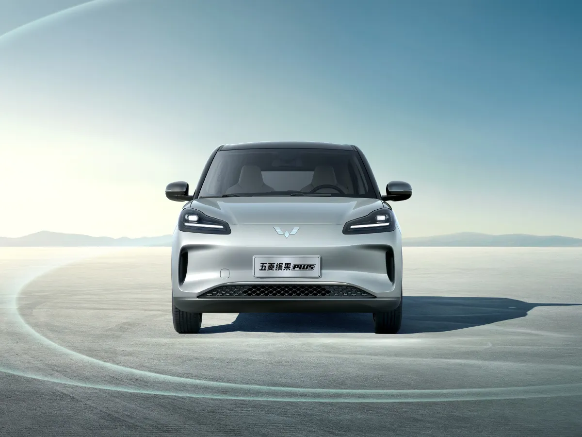 WuLing BinGuoPLUS,autocango,china used car exporter,china ev exporter,chinese used car exporter,chinese used ev exporter