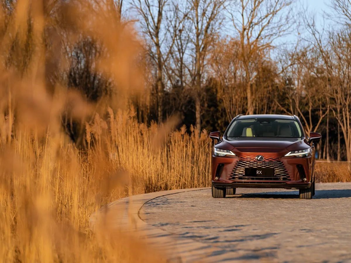 Lexus RX,autocango,china used car exporter,china ev exporter,chinese used car exporter,chinese used ev exporter Lexus RX,autocango,china used car exporter,china ev exporter,chinese used car exporter,chinese used ev exporter