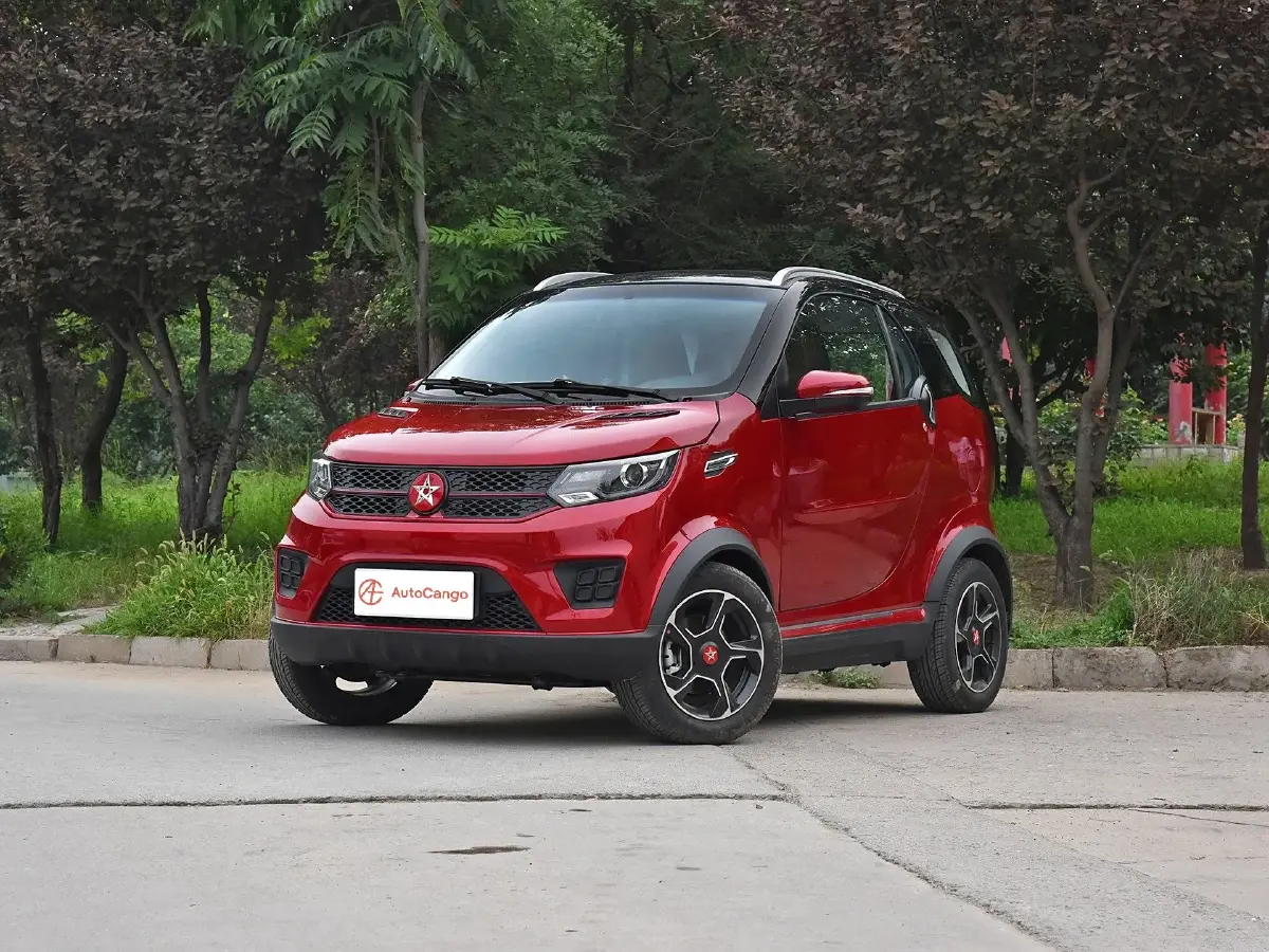 2018 HongXing ShanShanX2 BEV 32.7KWH