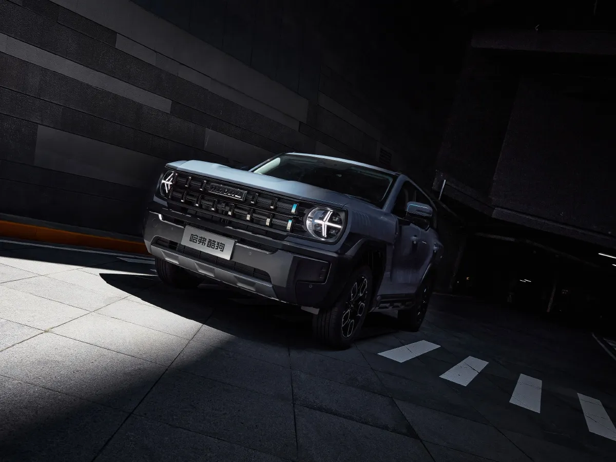 Haval X Dog,autocango,china used car exporter,china ev exporter,chinese used car exporter,chinese used ev exporter