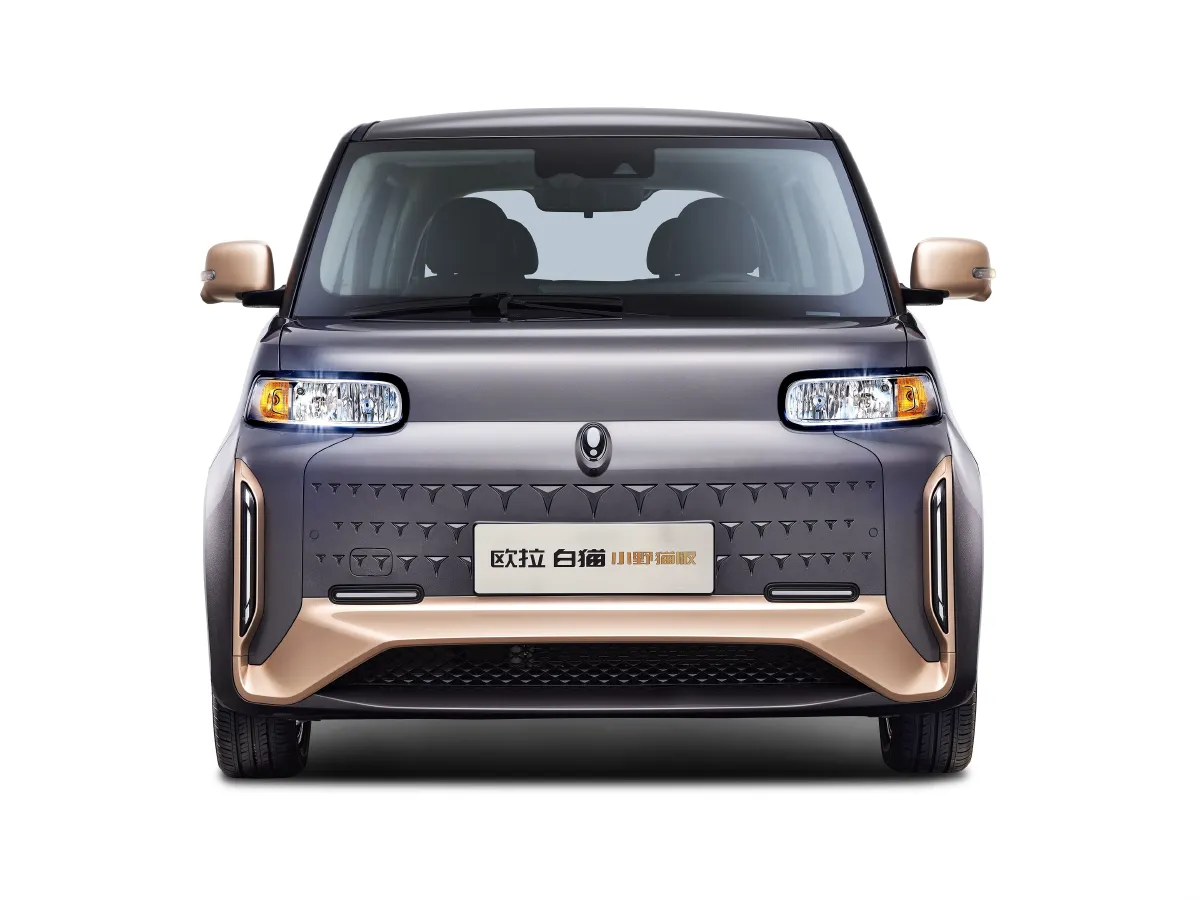 Ora WhiteCat,autocango,china used car exporter,china ev exporter,chinese used car exporter,chinese used ev exporter