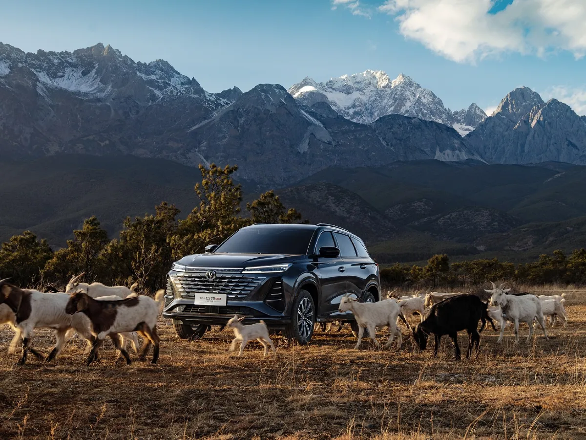 ChangAn CS75 Plus,autocango,china used car exporter,china ev exporter,chinese used car exporter,chinese used ev exporter