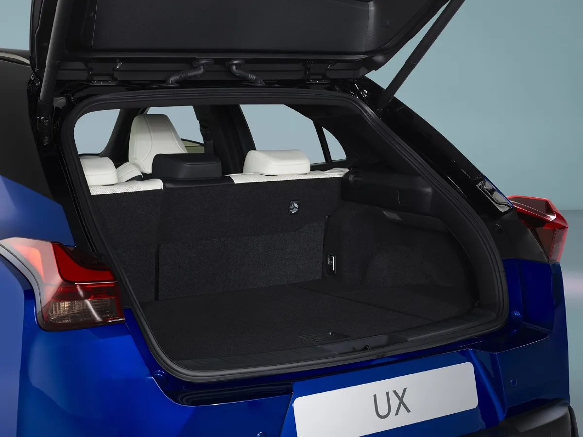 Lexus UX,autocango,china used car exporter,china ev exporter,chinese used car exporter,chinese used ev exporter