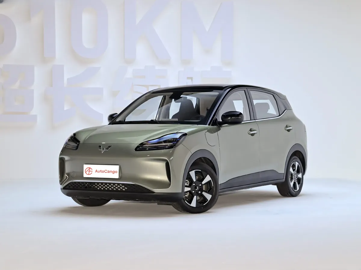 WuLing BinGuoPLUS,autocango,china used car exporter,china ev exporter,chinese used car exporter,chinese used ev exporter