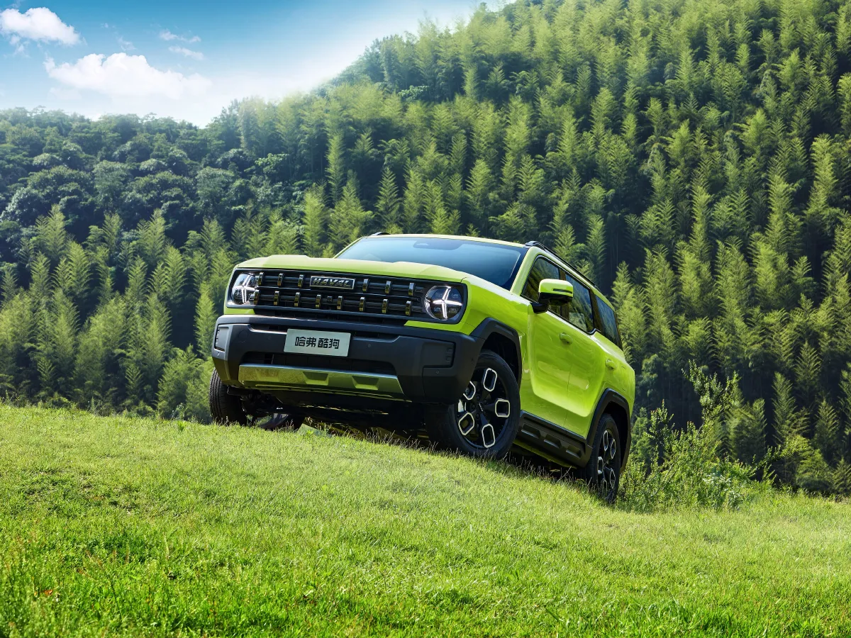 Haval X Dog,autocango,china used car exporter,china ev exporter,chinese used car exporter,chinese used ev exporter