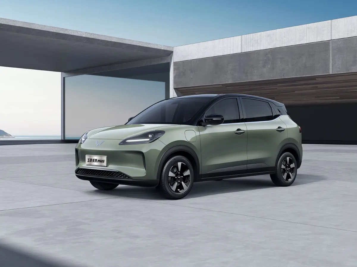 WuLing BinGuoPLUS,autocango,china used car exporter,china ev exporter,chinese used car exporter,chinese used ev exporter