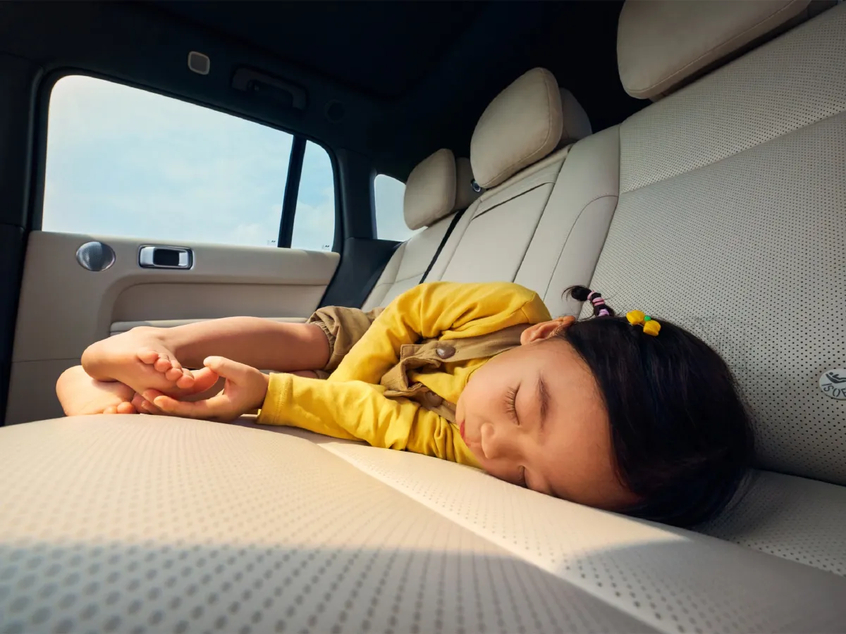 Li L6,autocango,china used car exporter,china ev exporter,chinese used car exporter,chinese used ev exporter